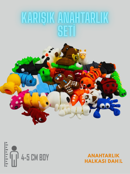 Karışık Anahtarlık Kutusu 100 Adet